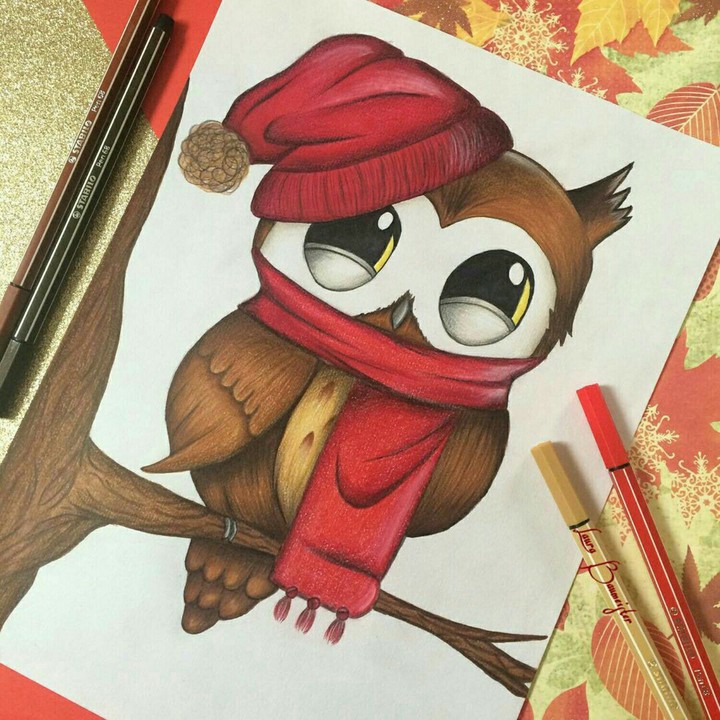 Owl.