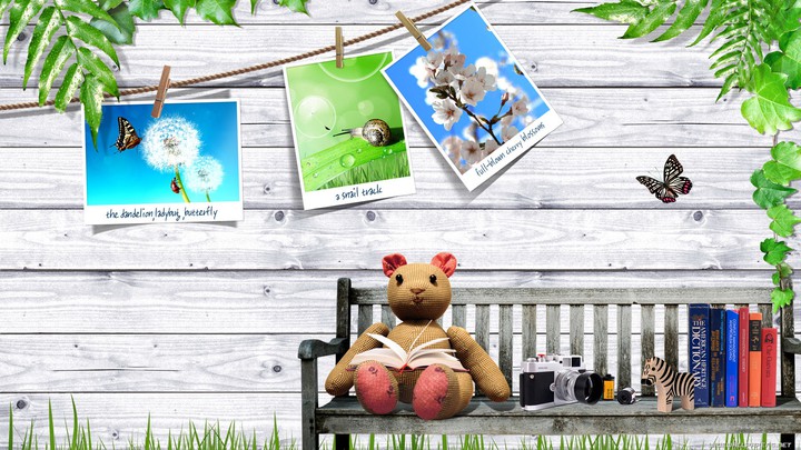 Tedybear