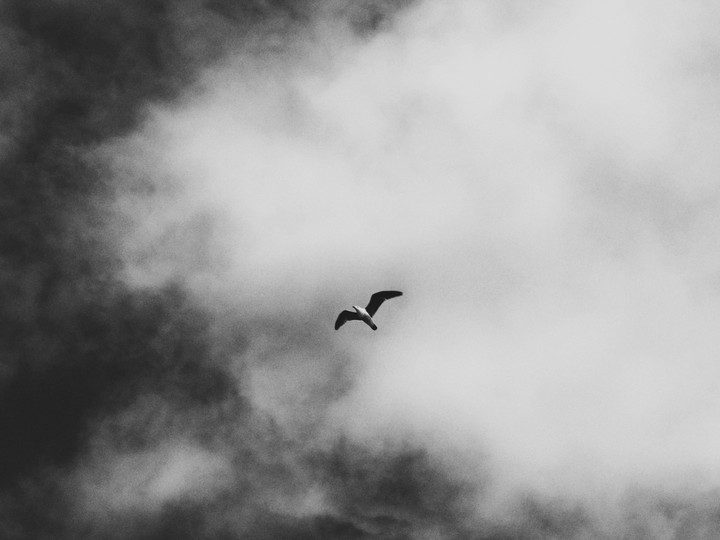 free