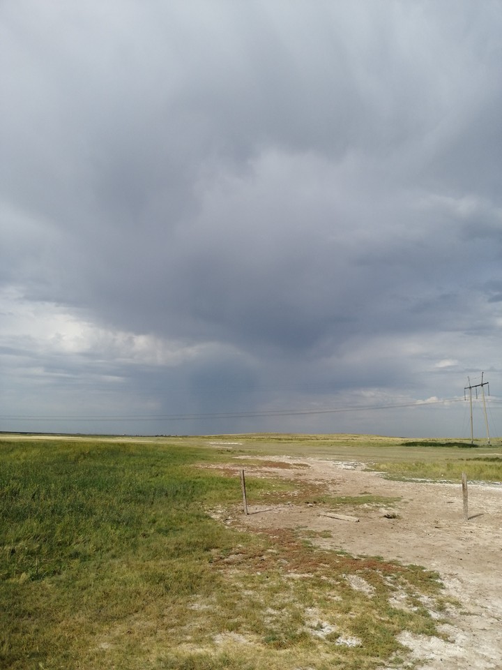 в поле перед дождём, before the rain