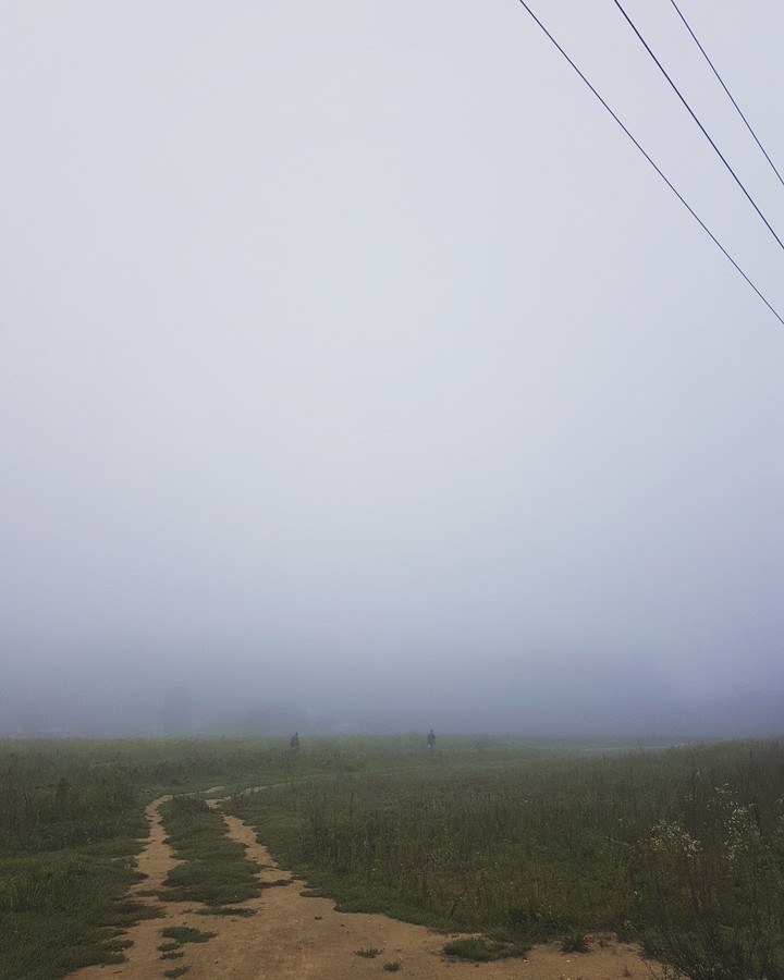 Misty morning