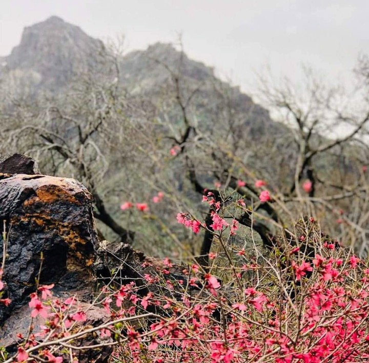 landscape of kurdistan