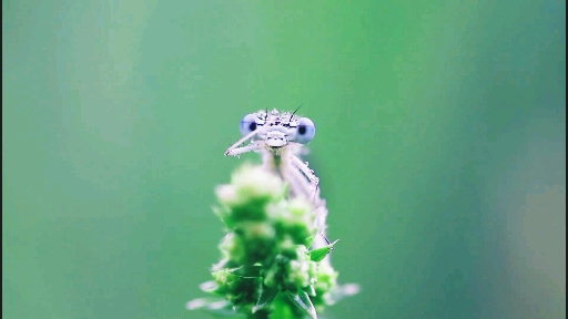 Hey... How am I looking today? ;-)
