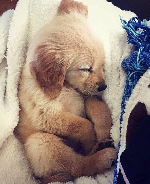 ZZZ