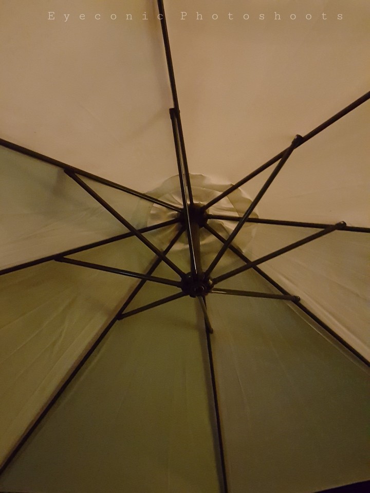Umbrella