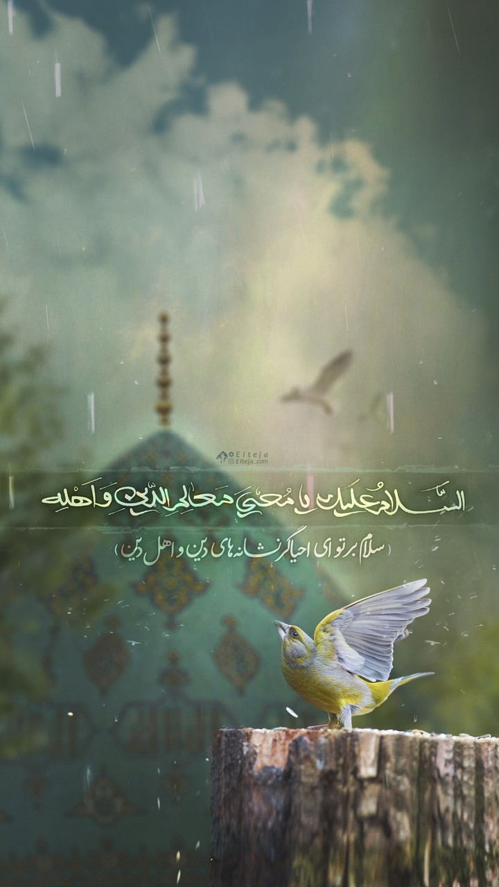یا صاحب الزمان(عج)