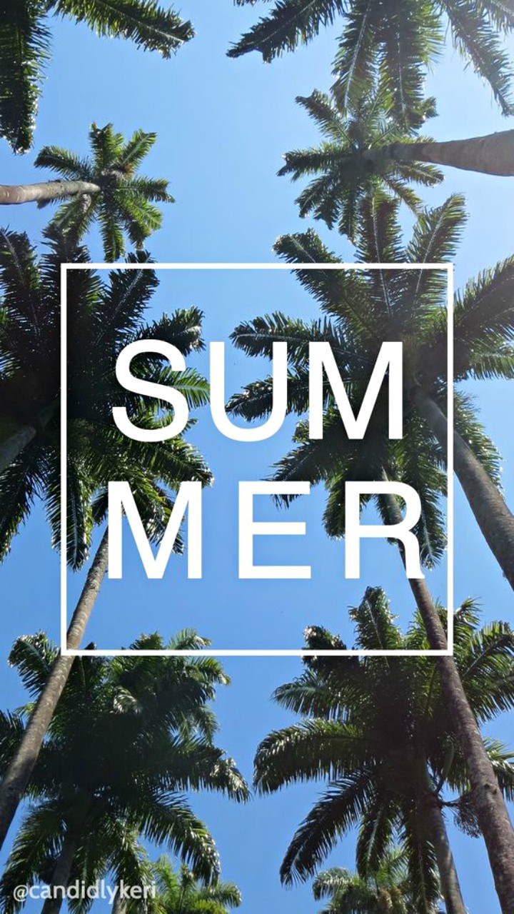 Summer palms