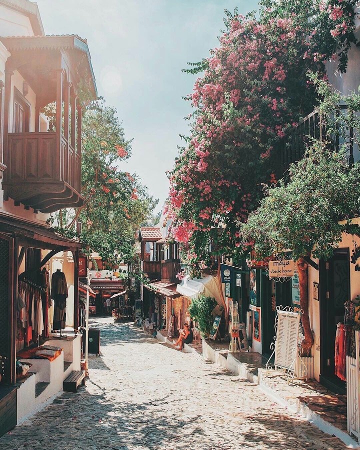 Flores