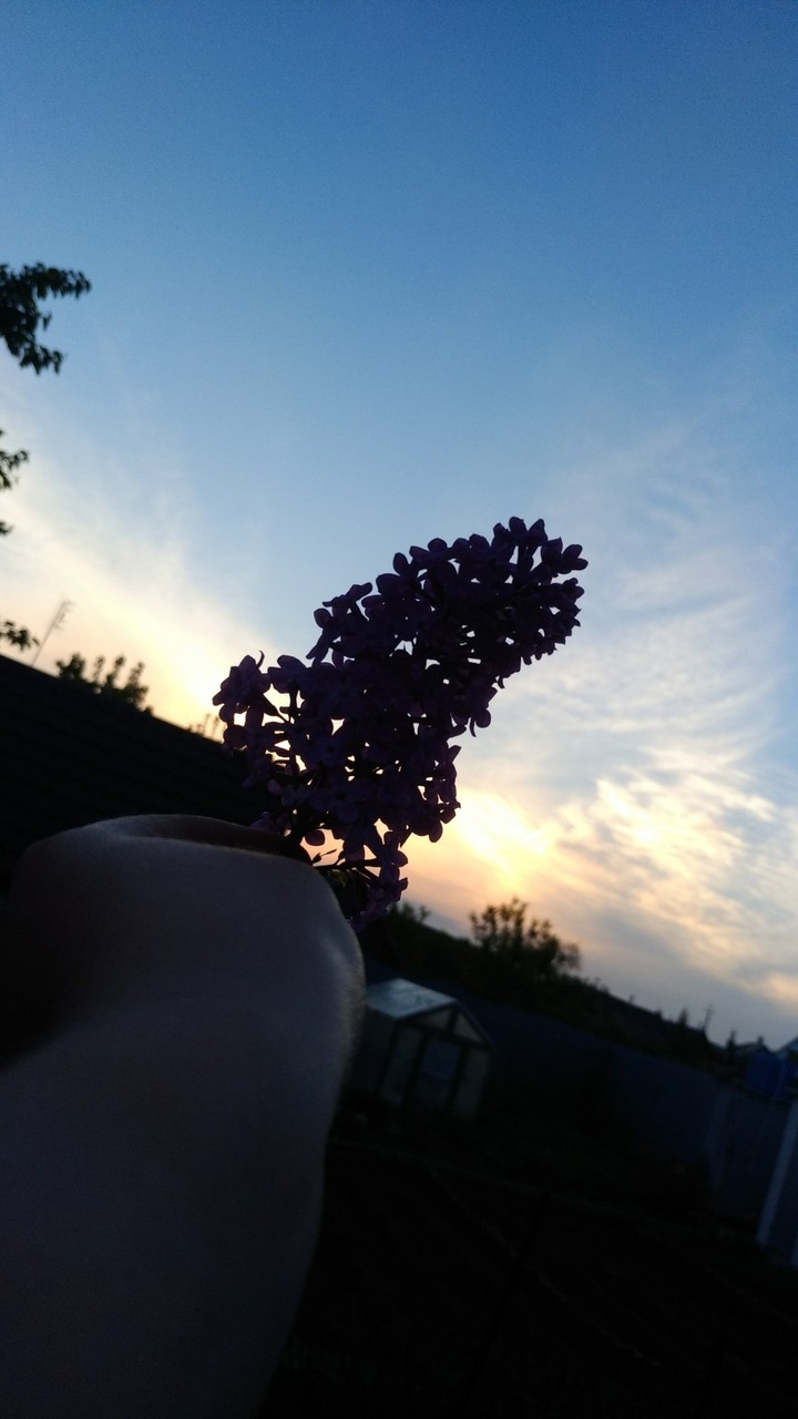 природа ?