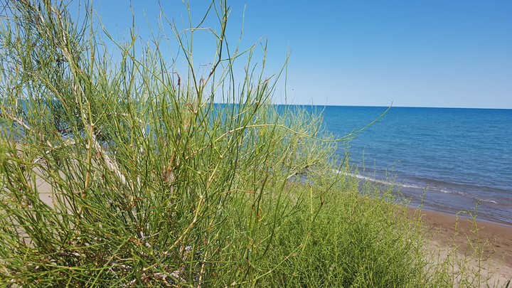 beach