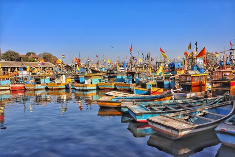 Beauty of sasson dock