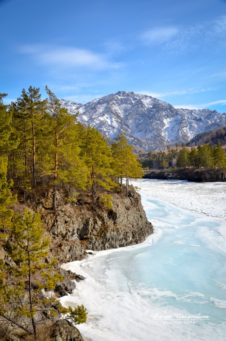 Turquoise river and pines