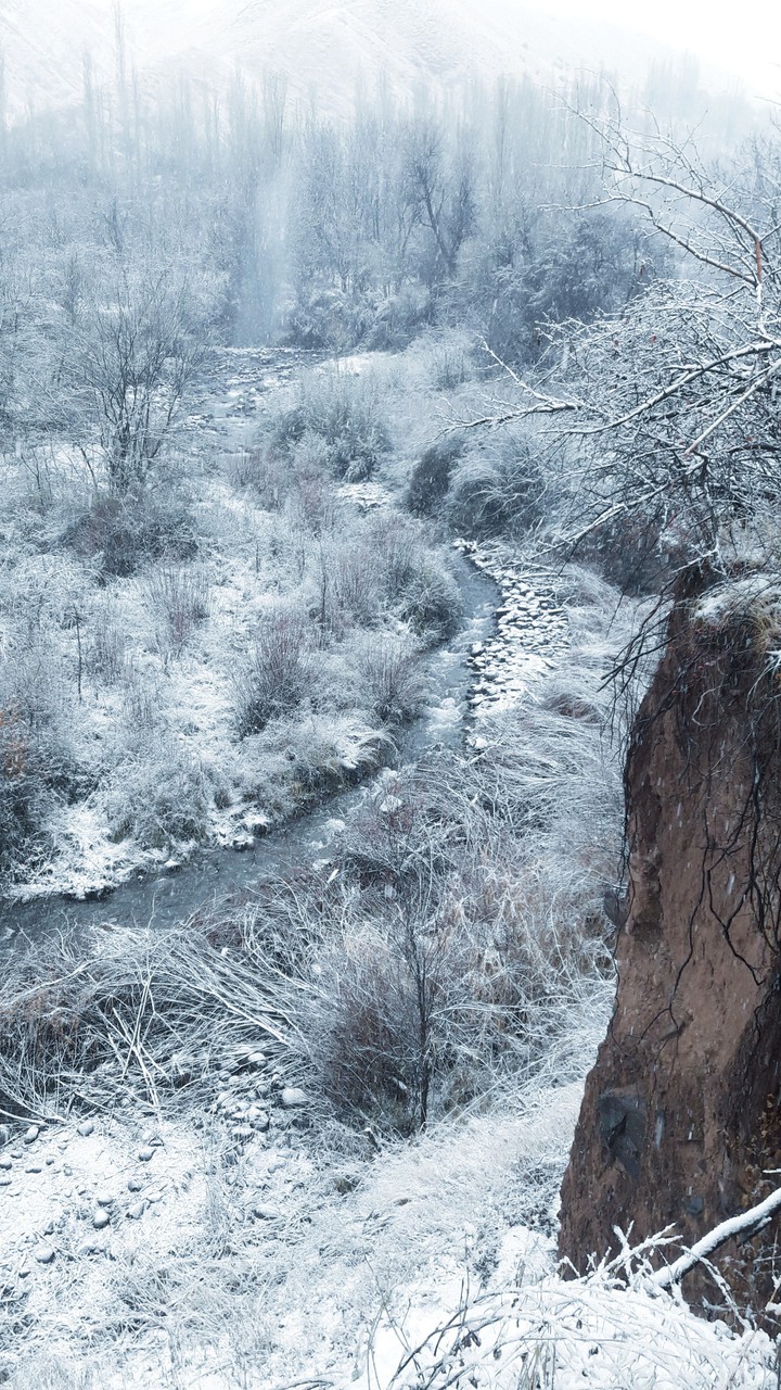 Nature