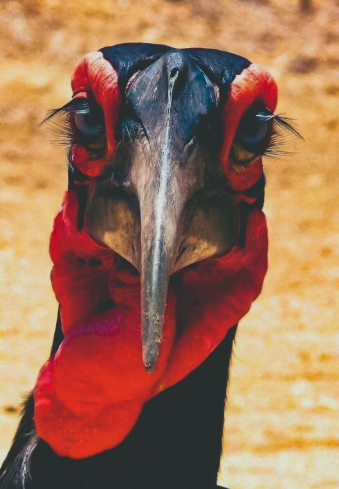.