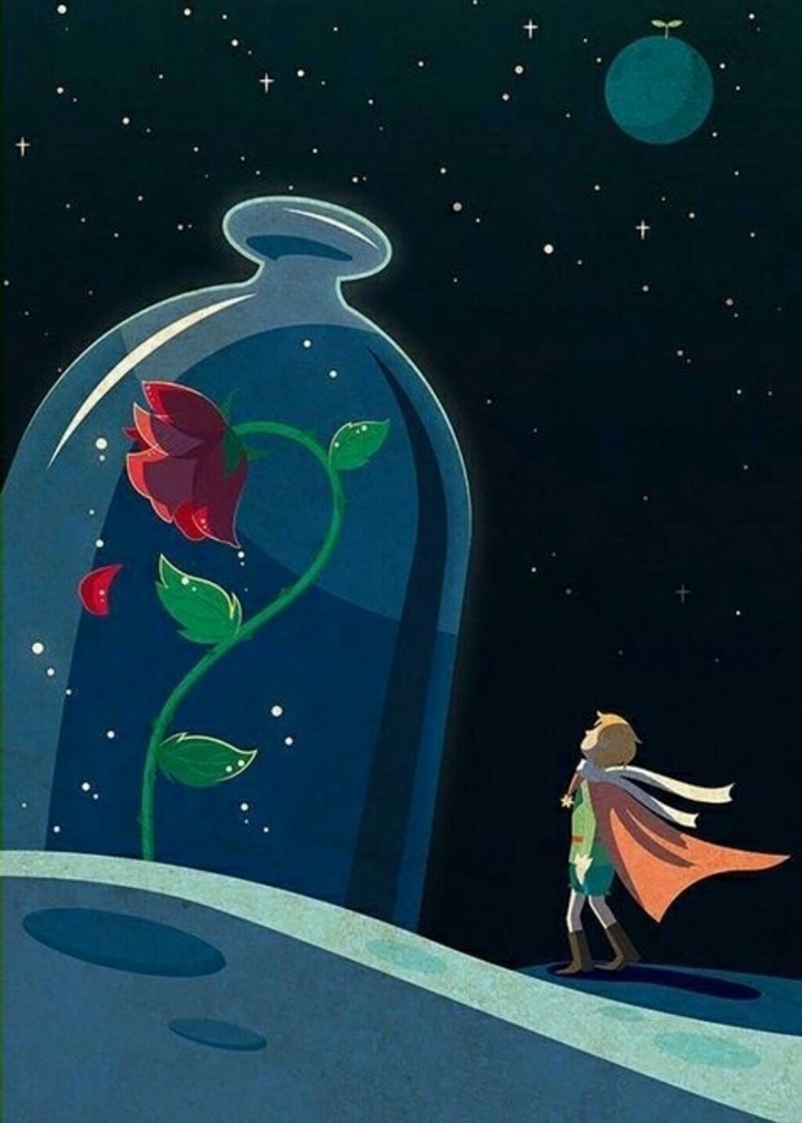 little prince