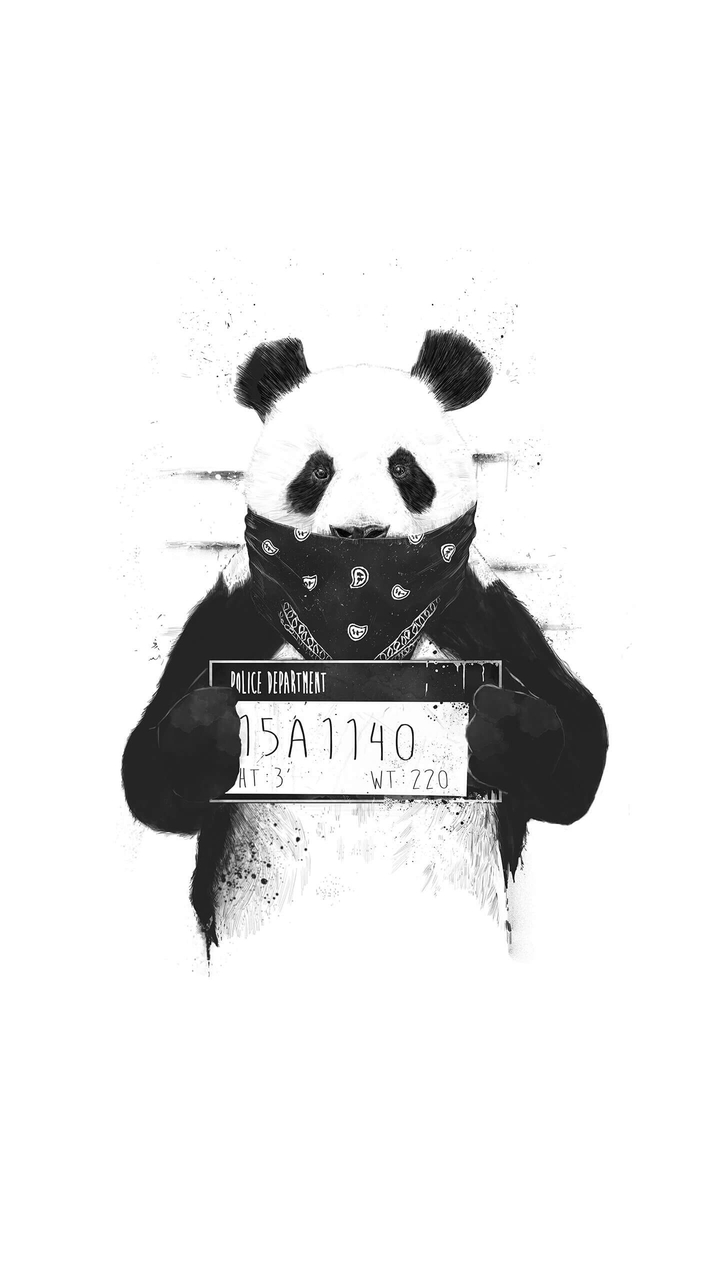 Bad Panda