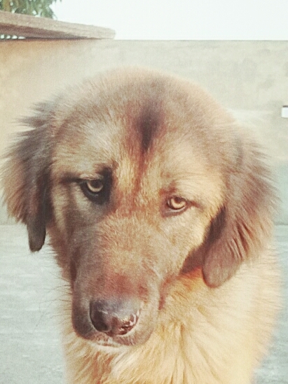 #Jack