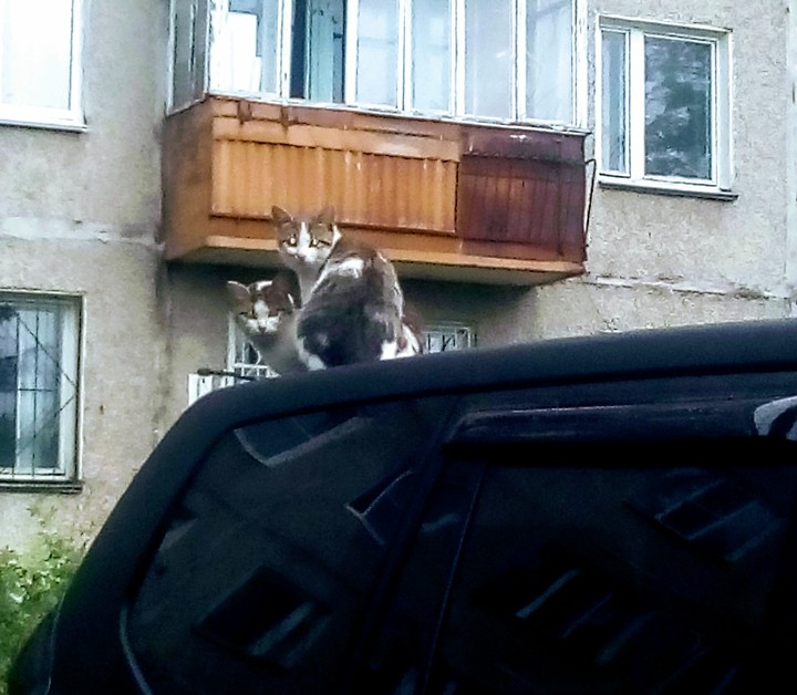 хорошо сидим)