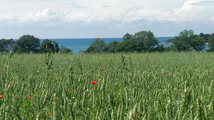Kroatien