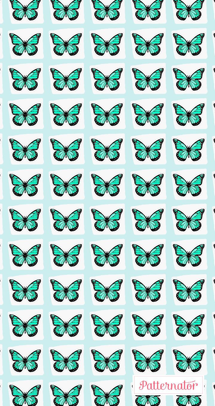 fondo