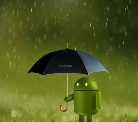 umbrella, green Hintergrundbilder