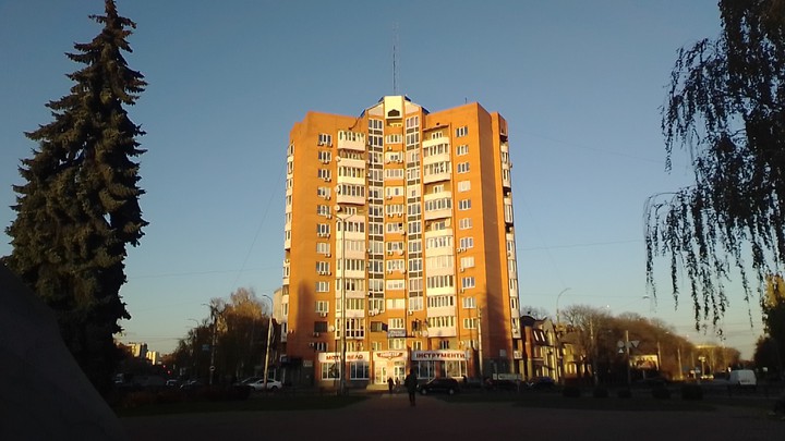домина