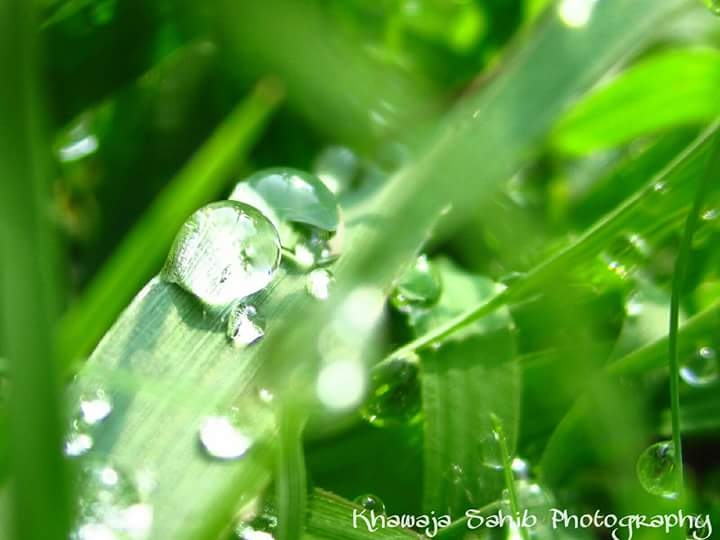 Water droplets