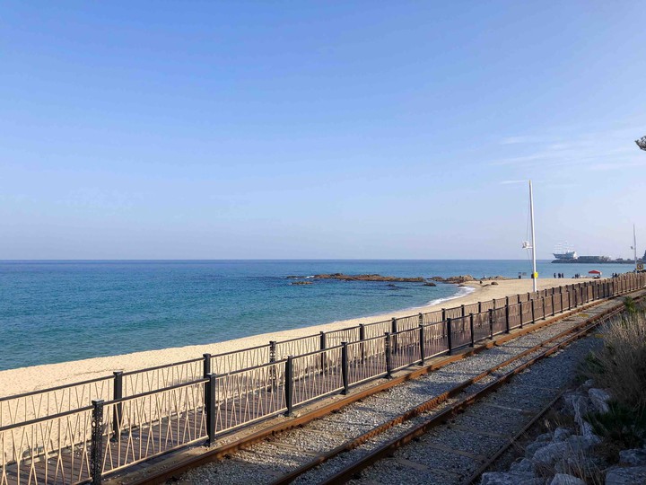 The Seaside Train