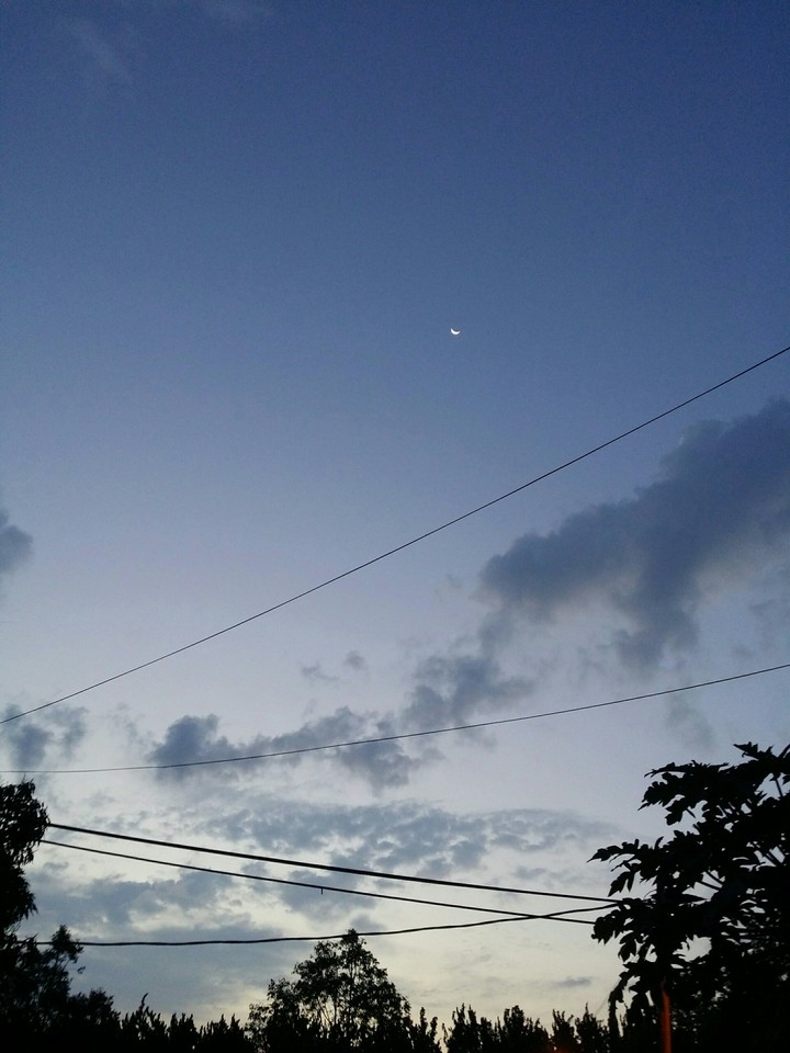 Sky