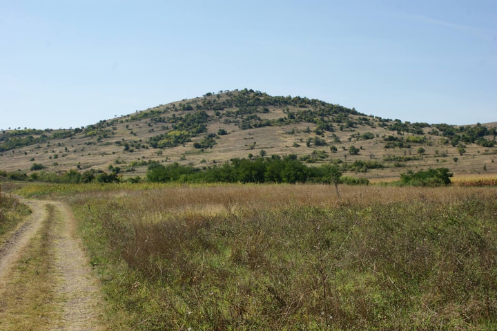 Wonderful landscape