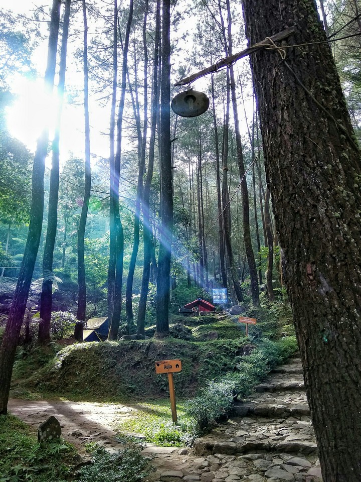 Nature