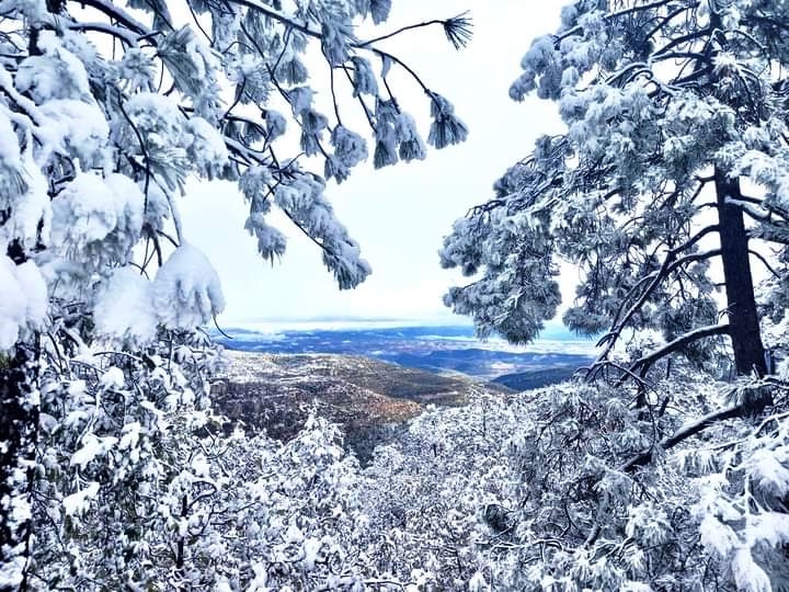 snow