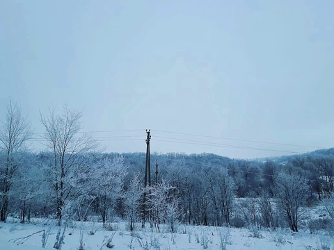 Just only winter