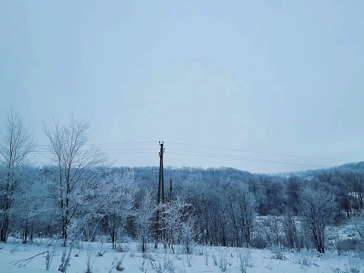 Just only winter
