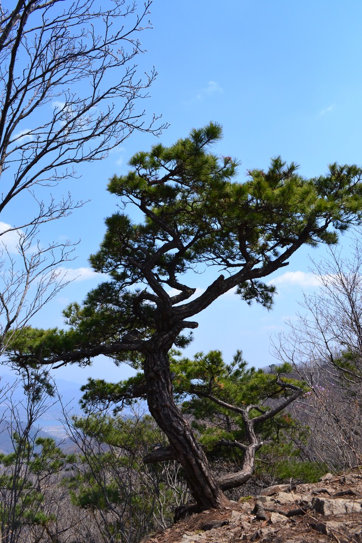 예봉산이미지