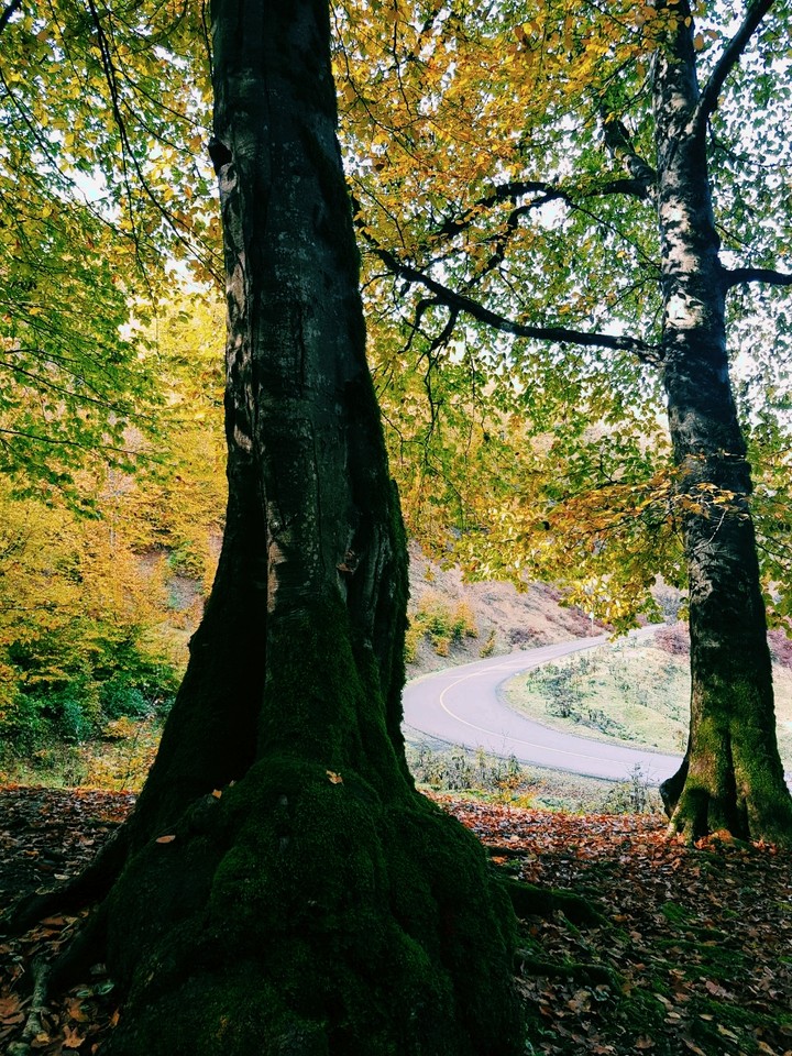 road