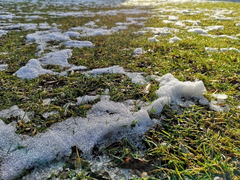 Snow on the grass