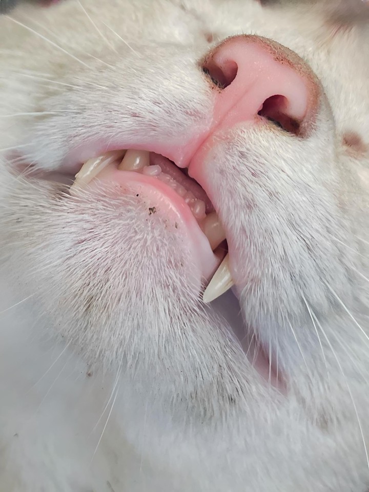 .