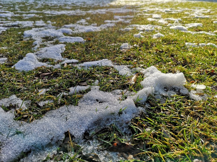 Snow on the grass