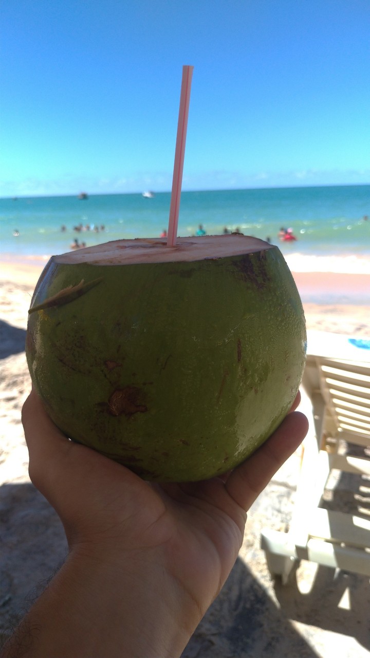 Coconut