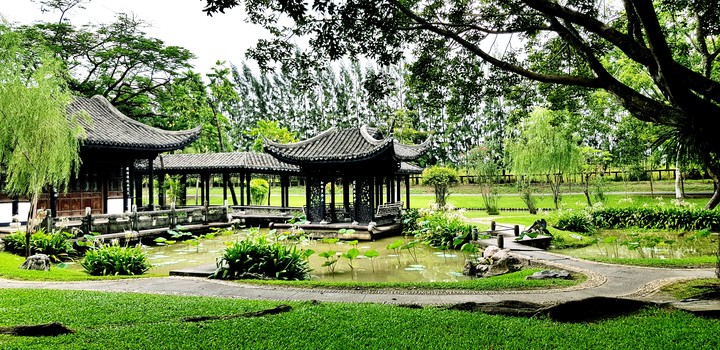 garden, Bangkok Thailand