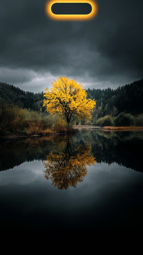 רקעים reflection, loch