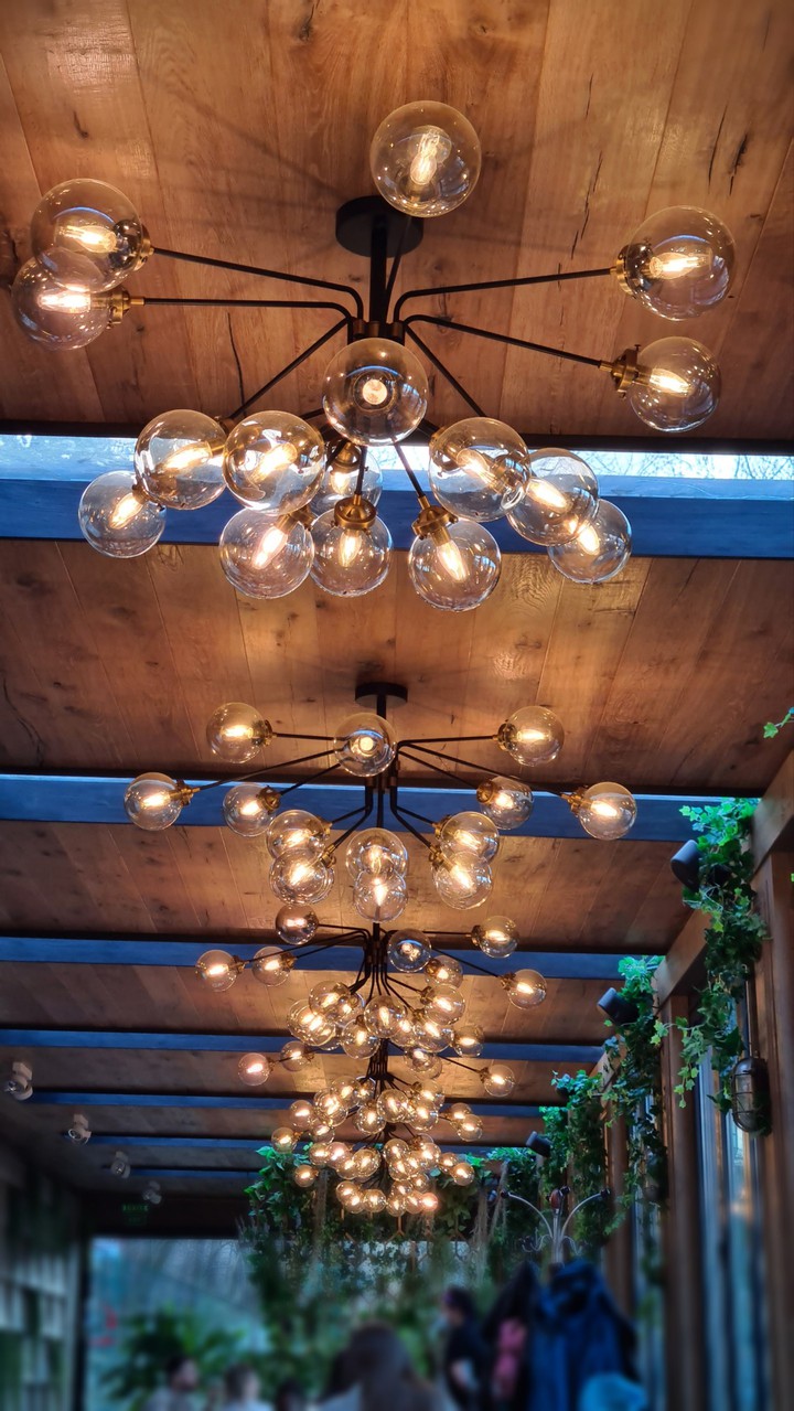 Cozy lights