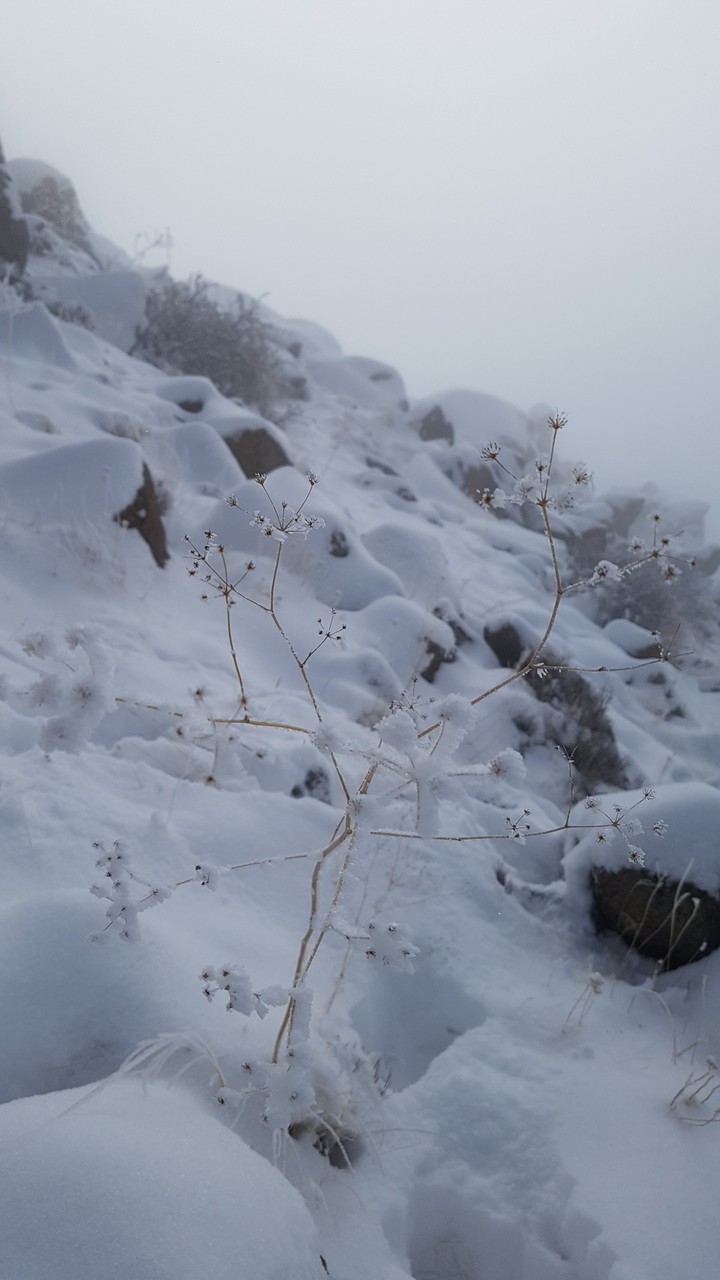 snow