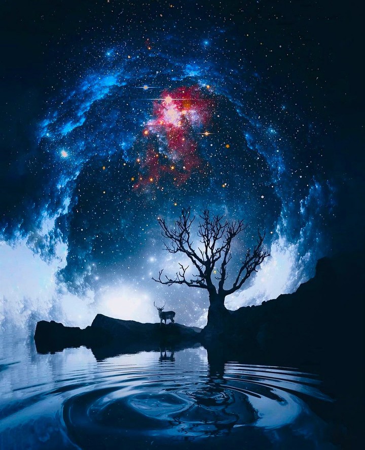 Fantasy World
