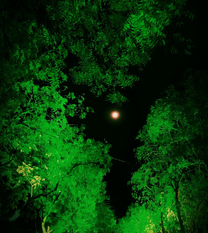 #night light