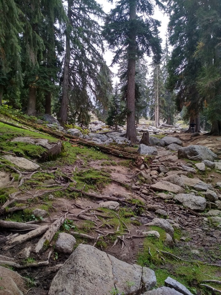 Hiking Away