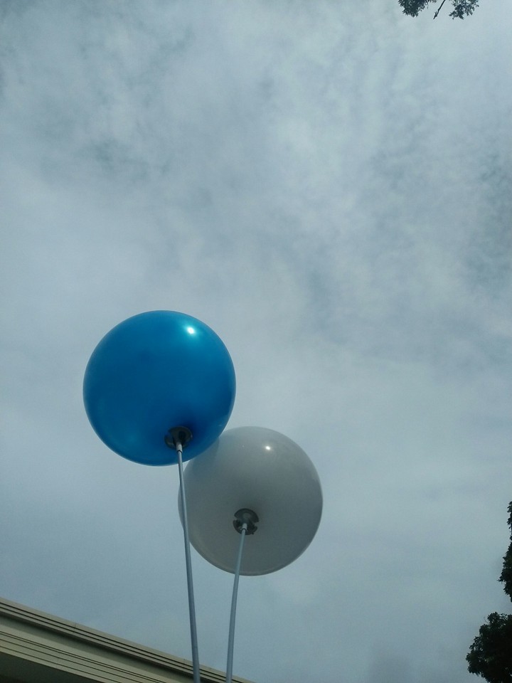 White and blue
