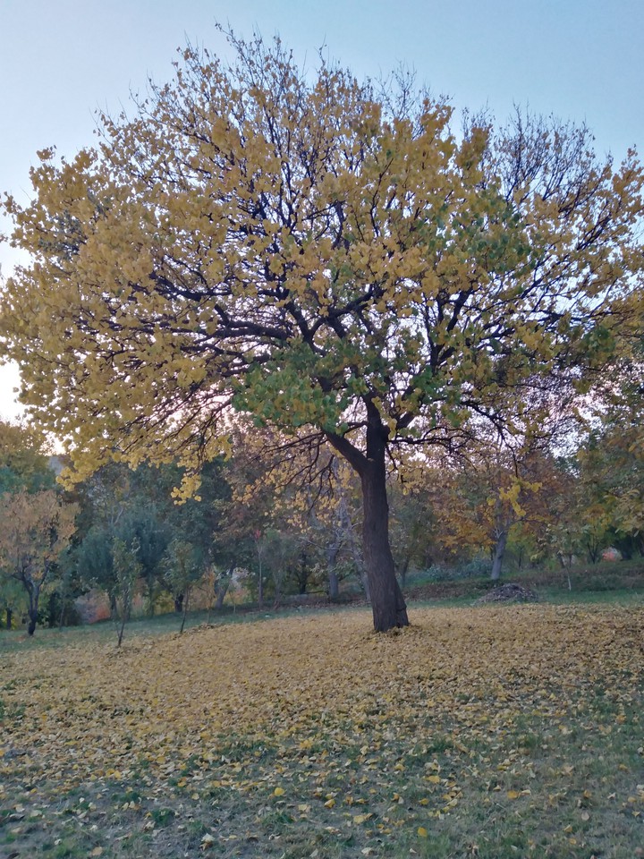 روستای زیبای قزلجه در زنجان