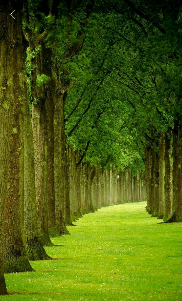 Nature